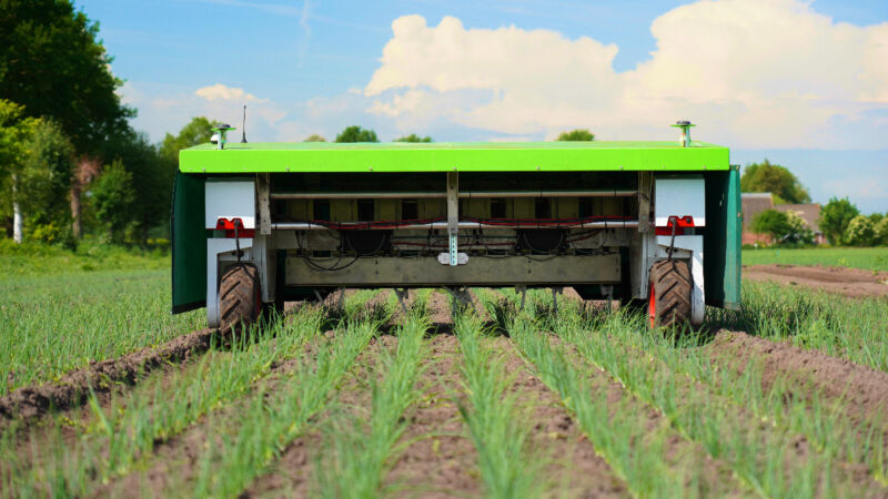 The Ekobot autonomous weeding robot roving around an onion field in Sweden.